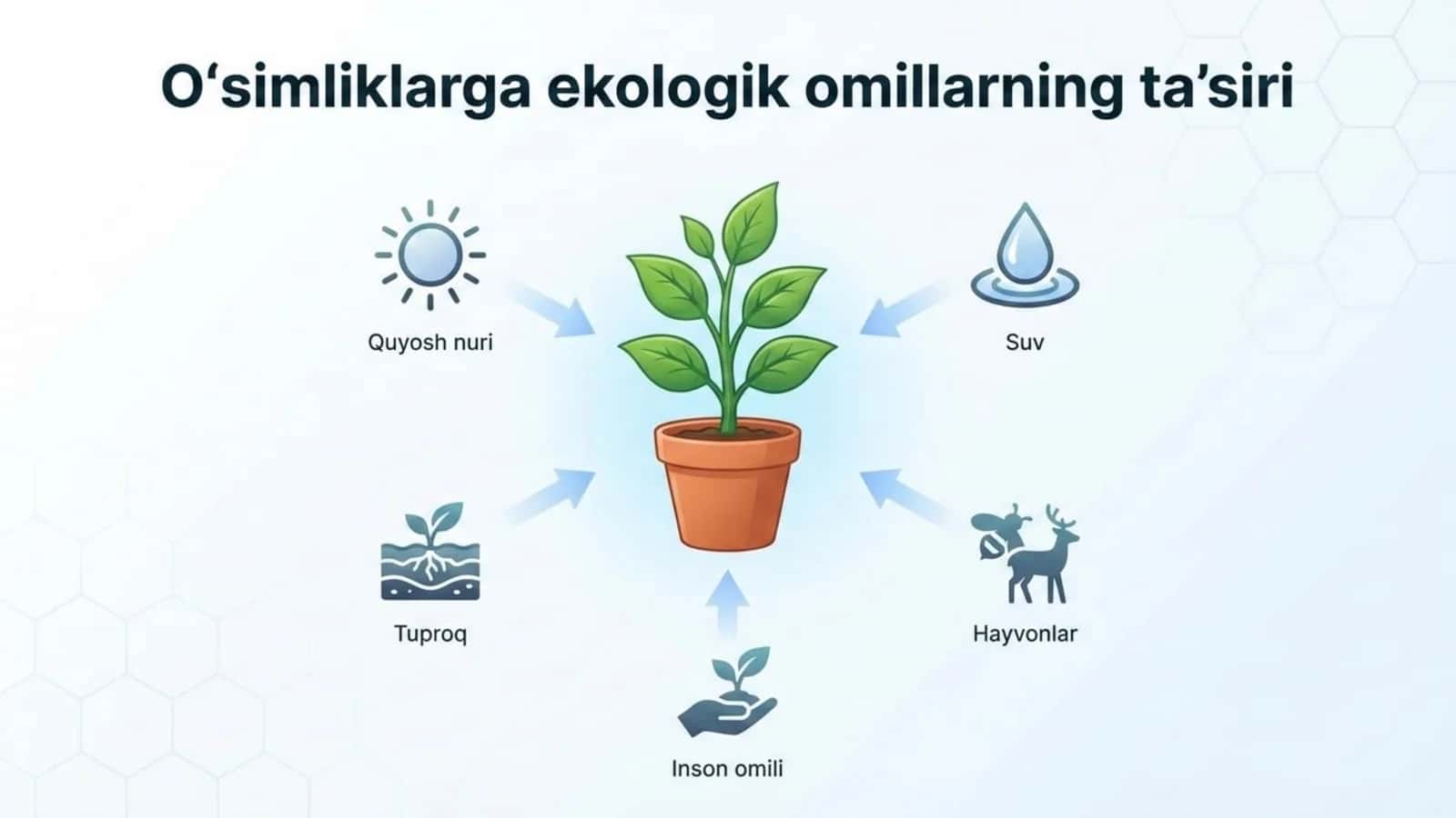O'simliklarga ekologik omillarning ta'siri