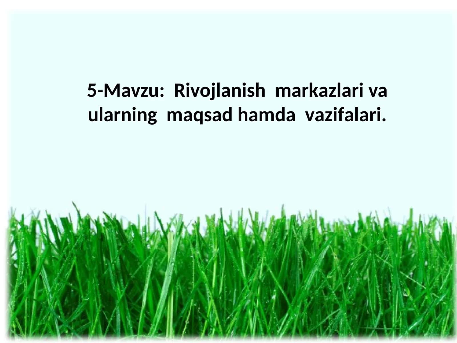 Rivojlаnish mаrkаzlаri va ulаrning mаqsаd hamda vаzifаlаri