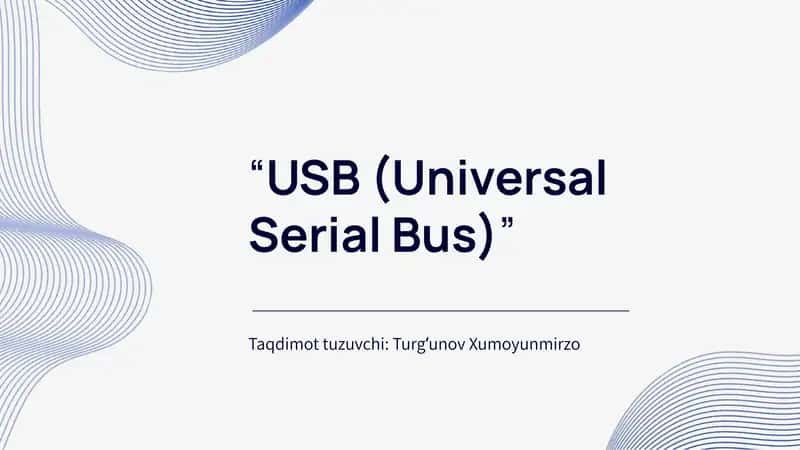 USB (Universal Serial Bus)