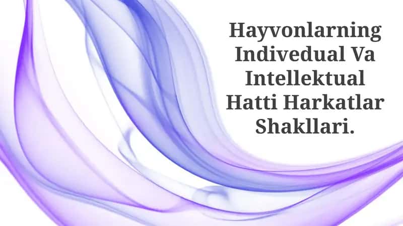Hayvonlarning Indivedual Va Intellektual Hatti Harkatlar Shakllari