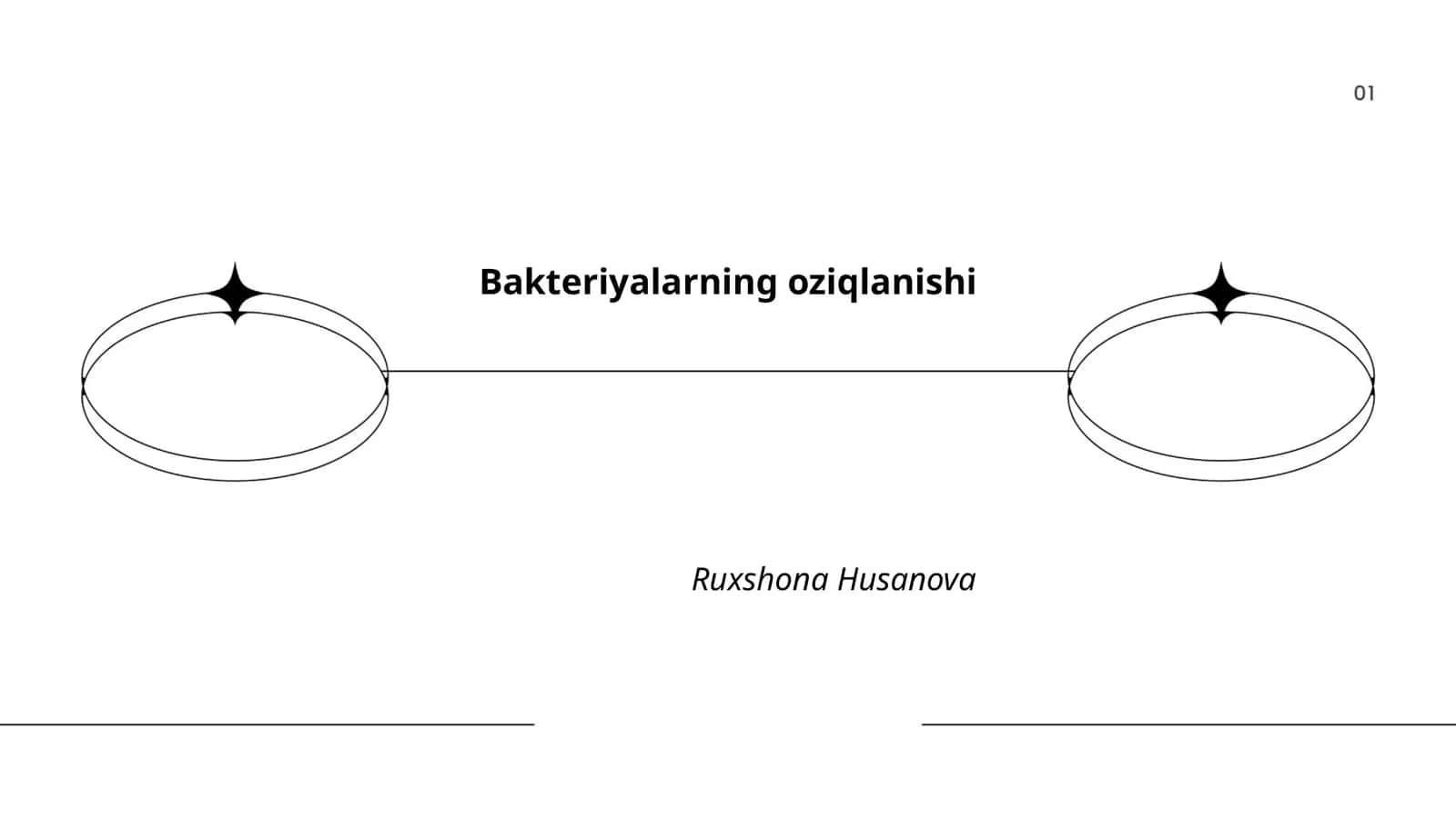 Bakteriyalarning oziqlanishi