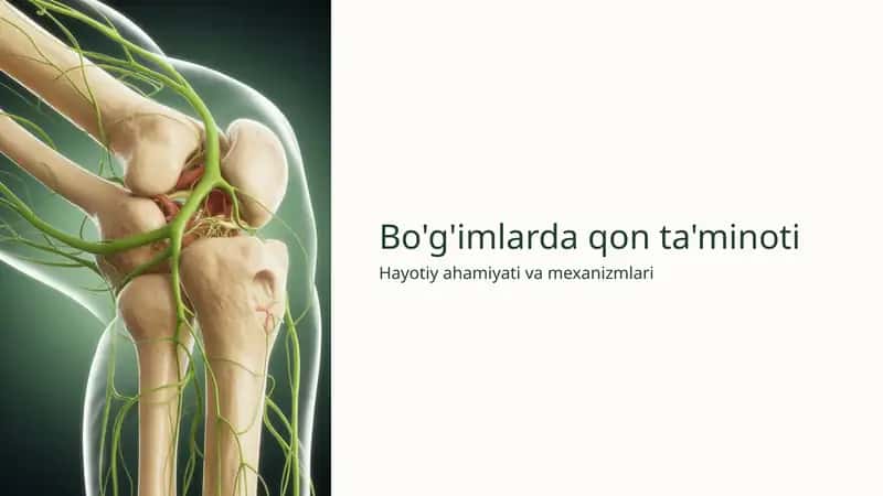 Bo'g'imlarda qon ta'minoti