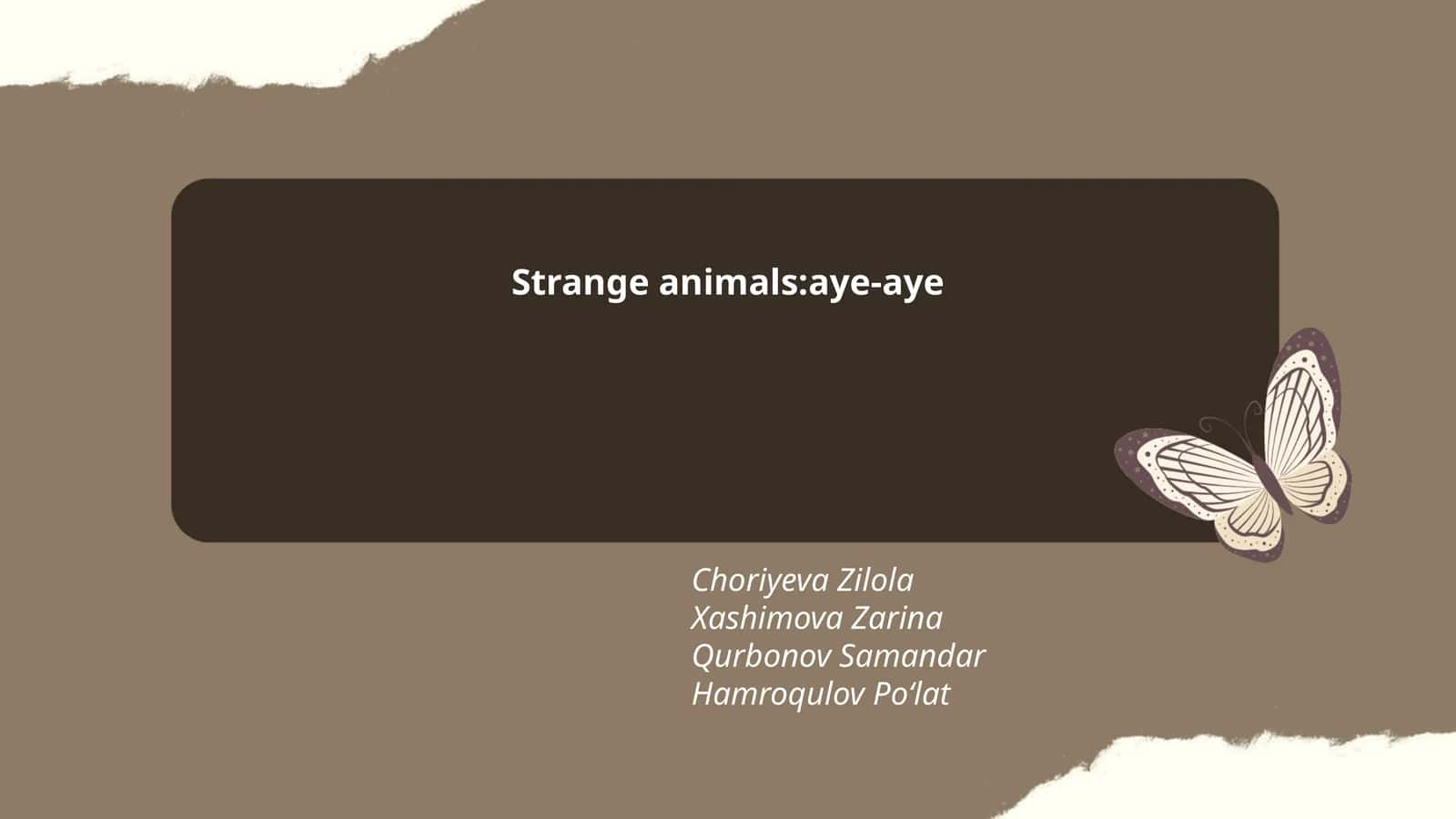 Aye-Aye's Unique Physical Features