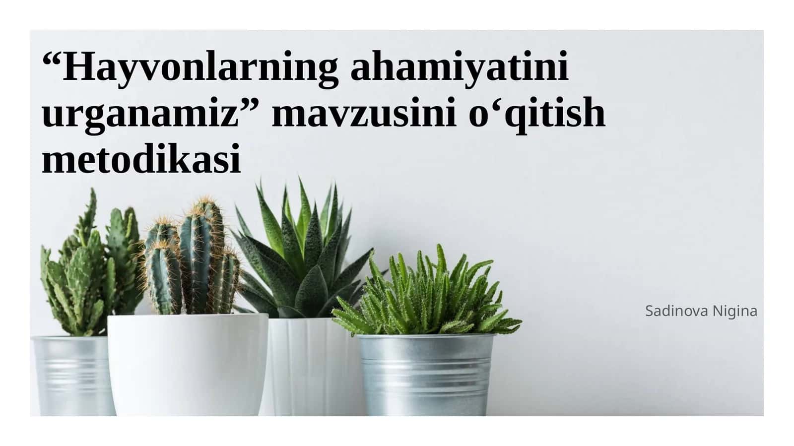 Hayvonlarning ahamiyatini urganamiz