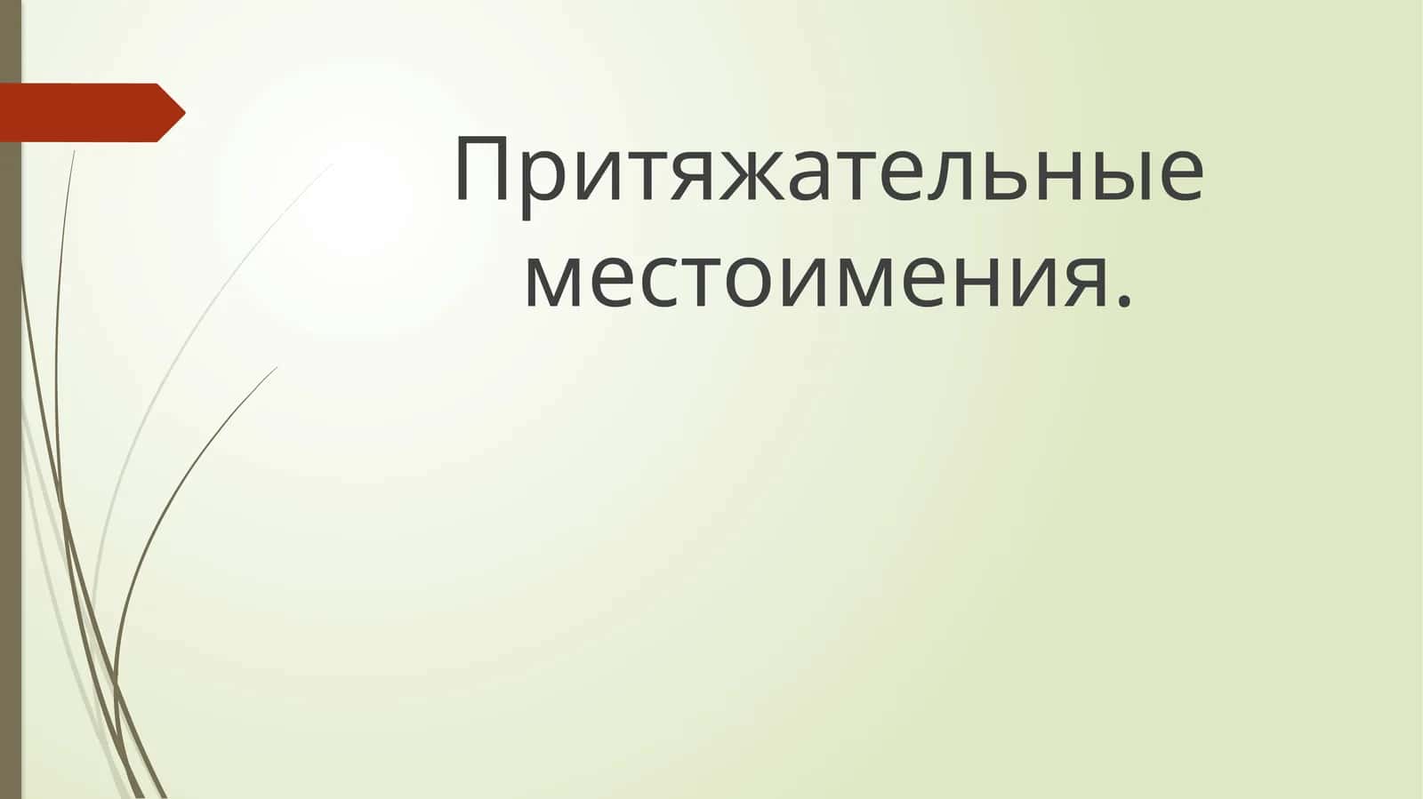 Притяжательные местоимения