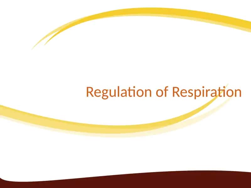 Regulation of Respiration