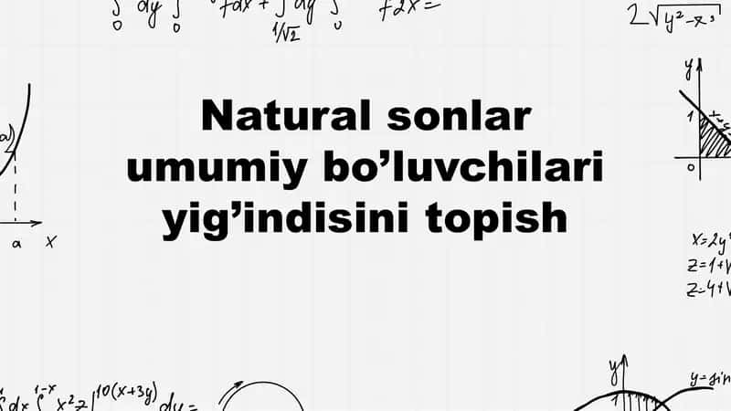 Natural sonlar umumiy bo’luvchilari yig’indisini topish