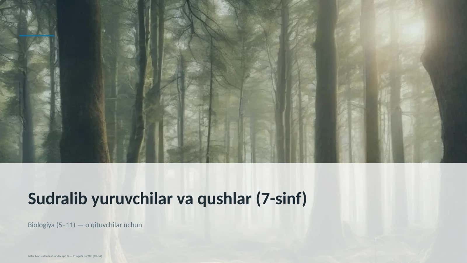 Sudralib yuruvchilar va qushlar (7-sinf)