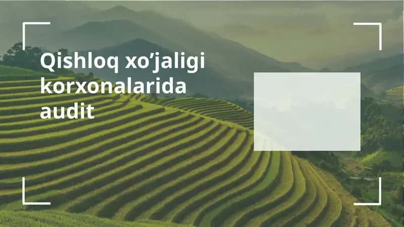 Qishloq xo’jaligi korxonalarida audit
