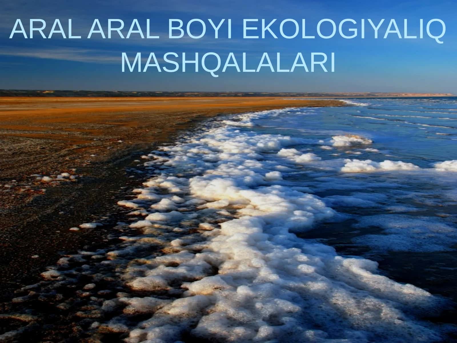 ARAL ARAL BOYI EKOLOGIYALIQ MASHQALALARI