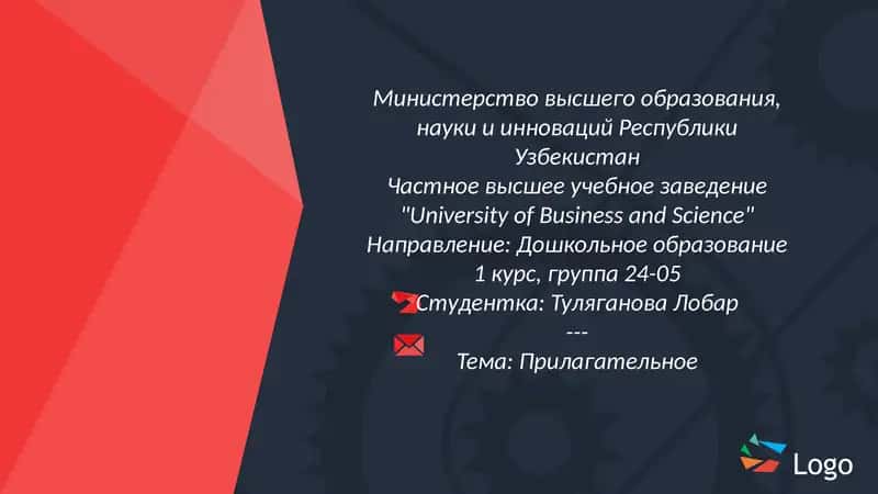 Тема: Прилагательное