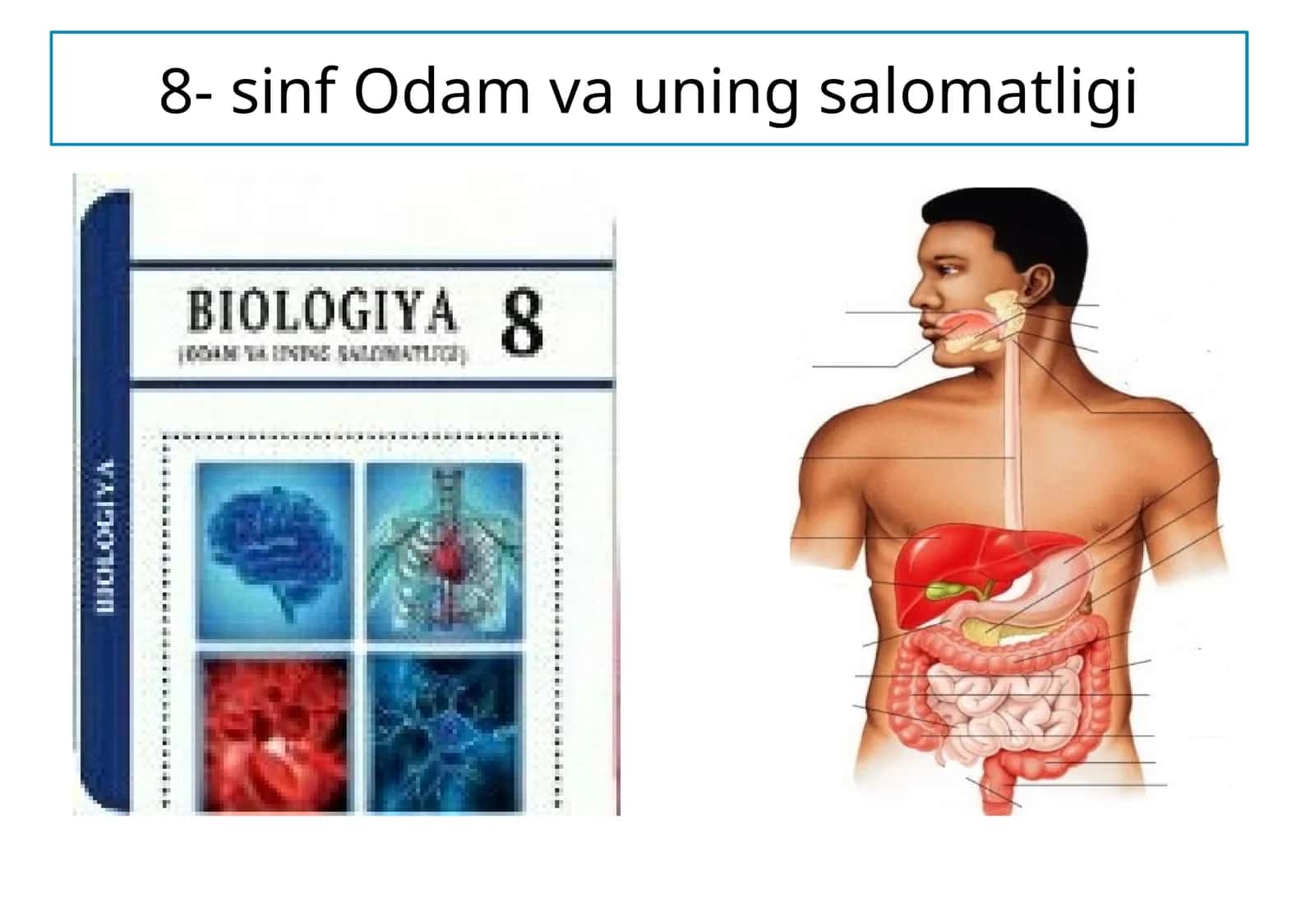 Odam va uning salomatligi