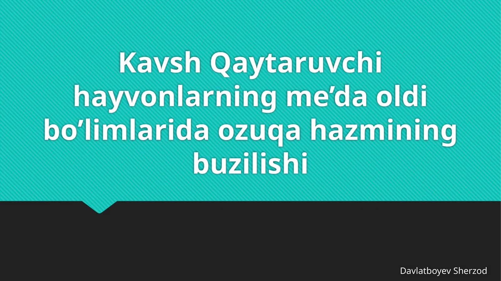 Kavsh qaytaruvchi hayvonlarning me’da oldi bo‘limlarida oziqa hazmining buzilishi