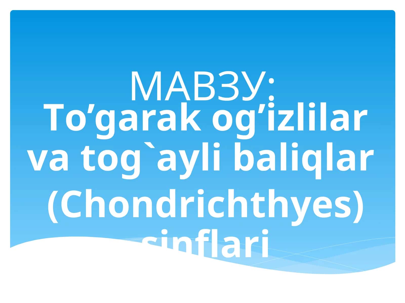 Тo’garak og’izlilar va tog`aylibaliqlar (Chondrichthyes) sinflari