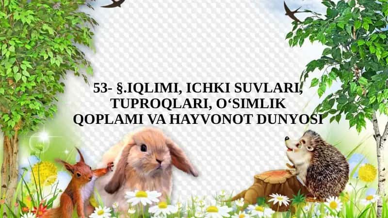 Iqlimi