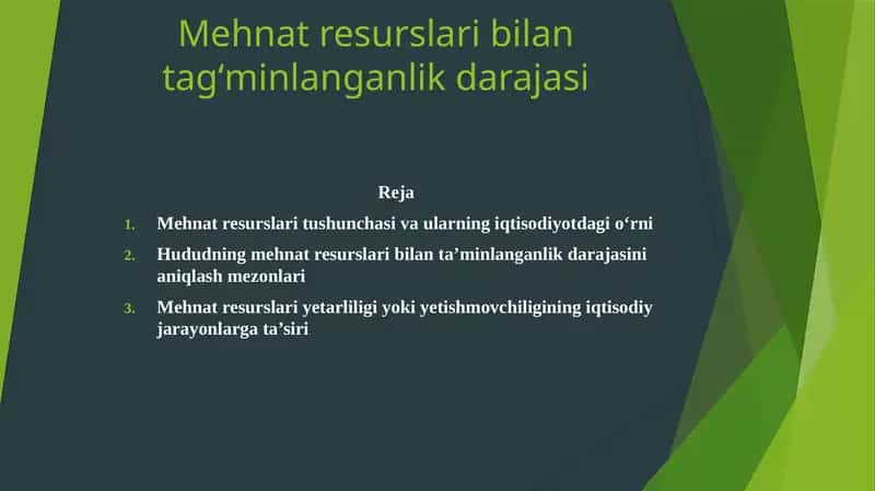 Mehnat resurslari