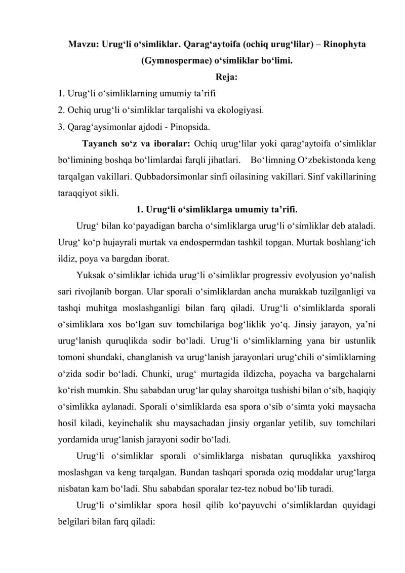Urug‘li o‘simliklar. Qarag‘aytoifa (ochiq urug‘lilar) – Rinophyta (Gymnospermae) o‘simliklar bo‘limi referat