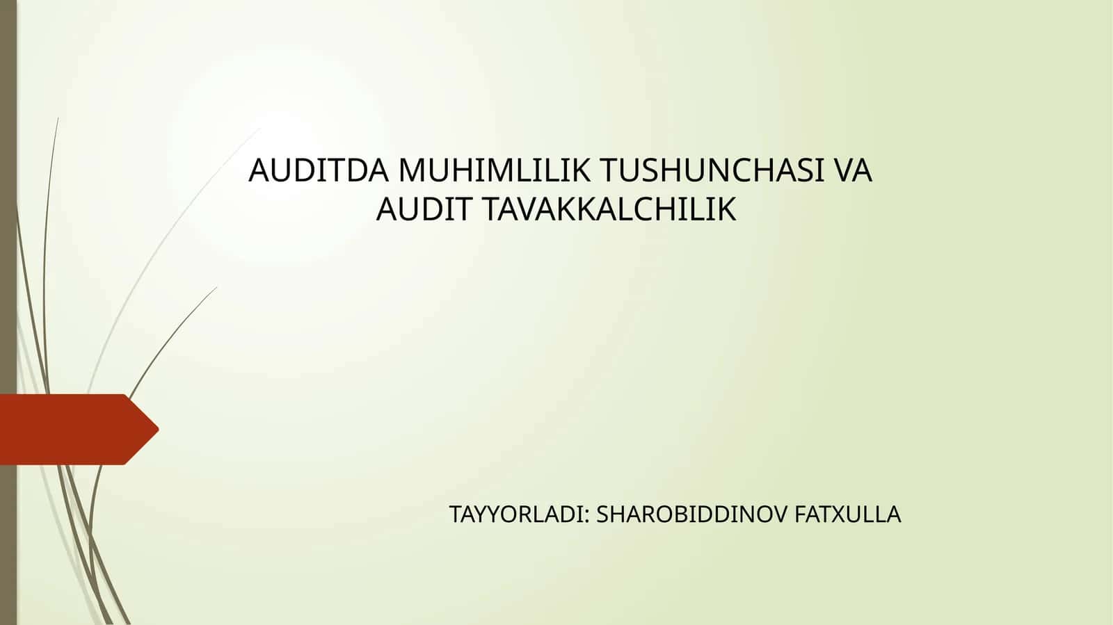 AUDITDAMUHIMLILIK TUSHUNCHASI VA AUDIT TAVAKKALCHILIK