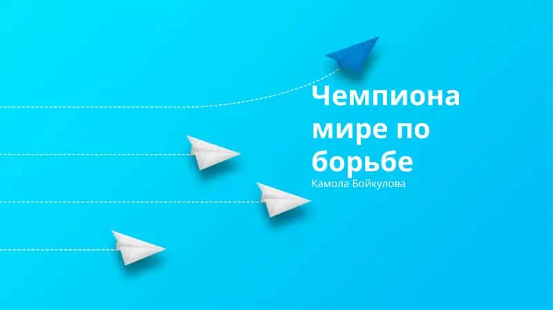 История и стили борьбы