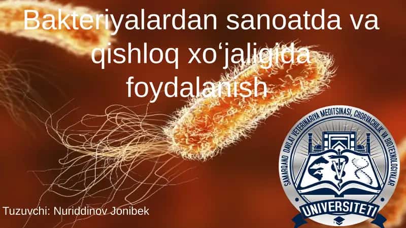 Bakteriyalardan sanoatda va qishloq xo‘jaligida foydalanish