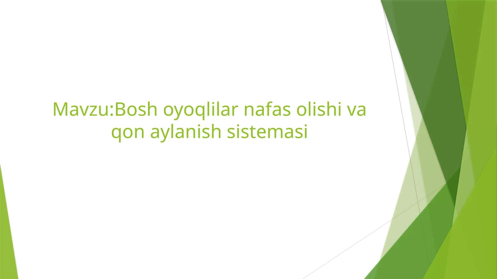 Bosh oyoqlilar nafas olishi va qon aylanish sistemasi