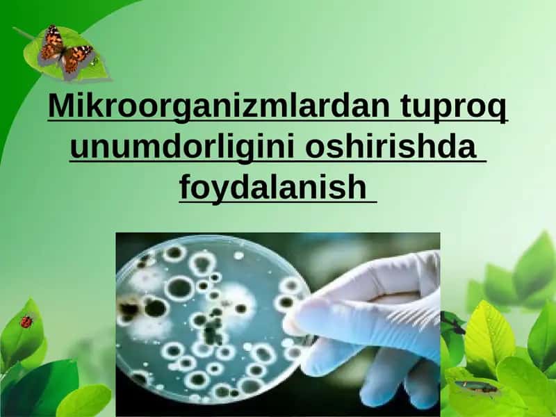 Mikroorganizmlardan tuproq unumdorligini oshirishda foydalanish