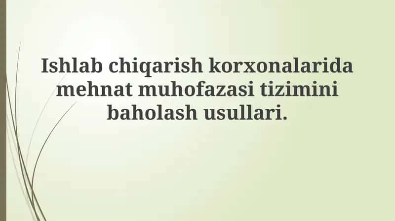 Mehnat muhofazasi tizimini baholash