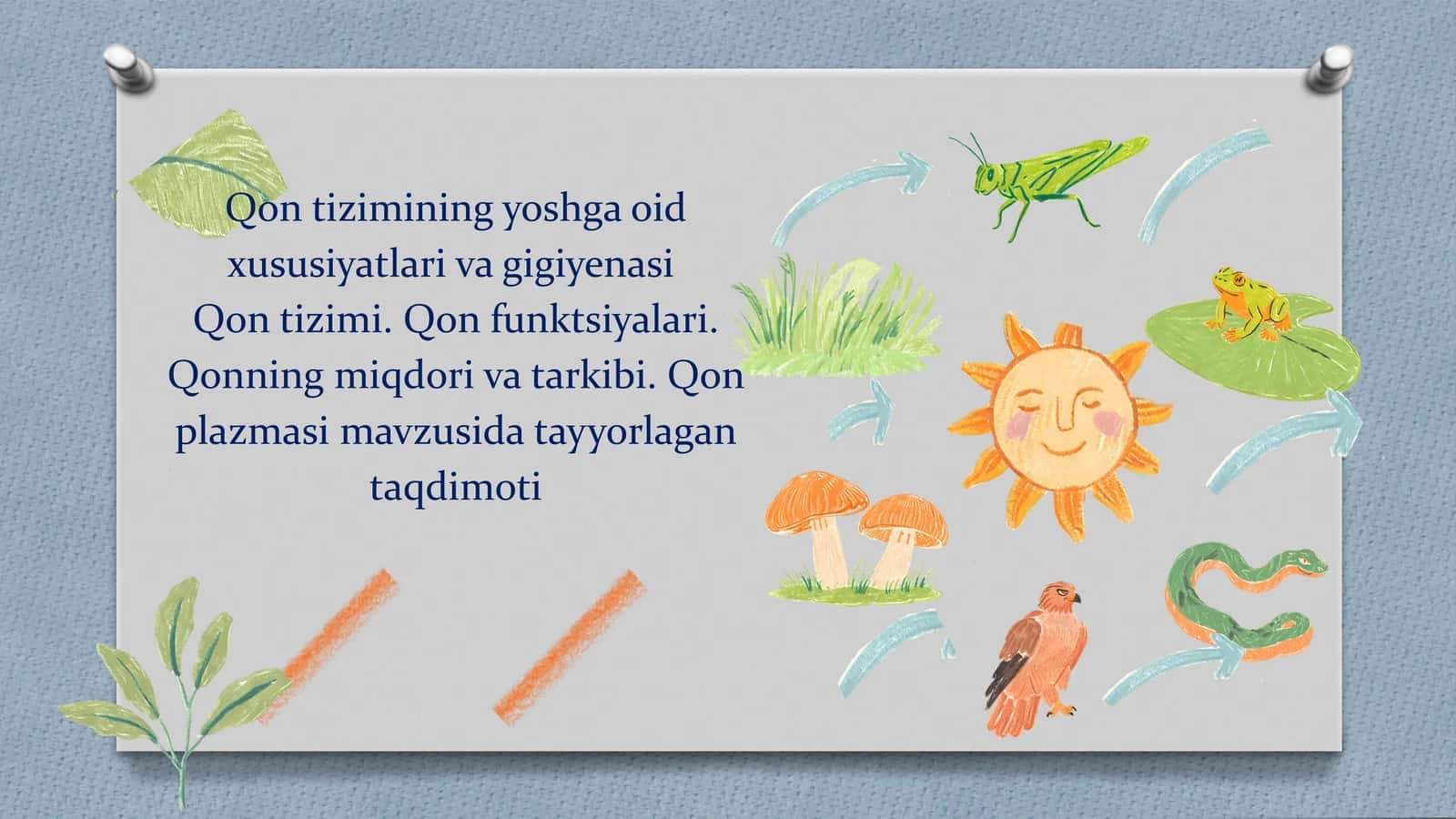 Qontizimiying yoshga oid xususiyatlari va gigiyenasi