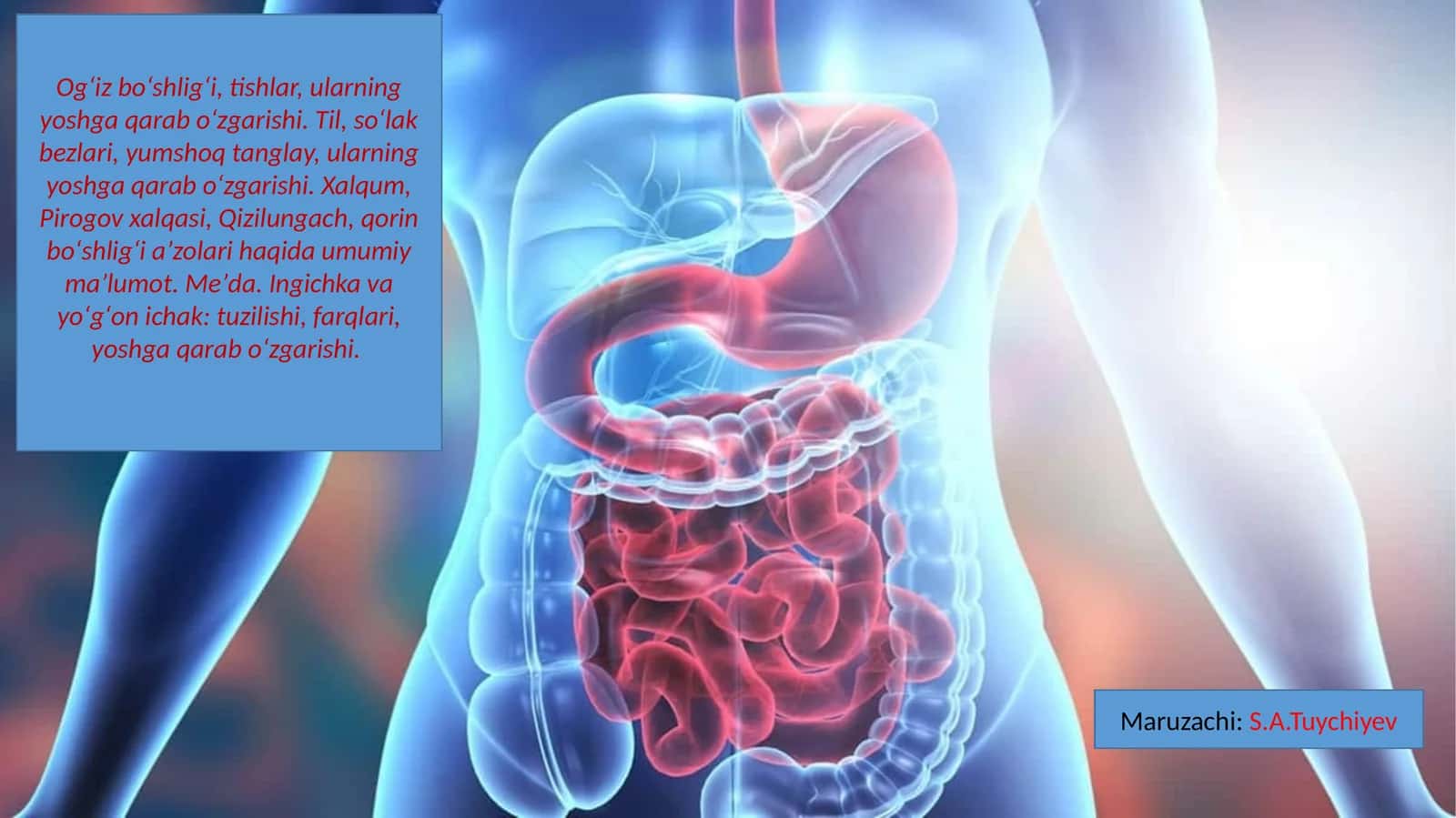 Og‘izbo‘shlig‘i,tishlar,ularningyoshgaqarabo‘zgarishi.Til,so‘lakbezlari,yumshoqtanglay,ularningyoshgaqarabo‘zgarishi.Xalqum,Pirogovxalqasi,Qizilungach,qorinbo‘shlig‘ia’zolarihaqidaumumiyma’lumot.Me’da.Ingichkavayo‘g‘onichak:tuzilishi,farqlari,yoshgaqarabo‘zgarishi
