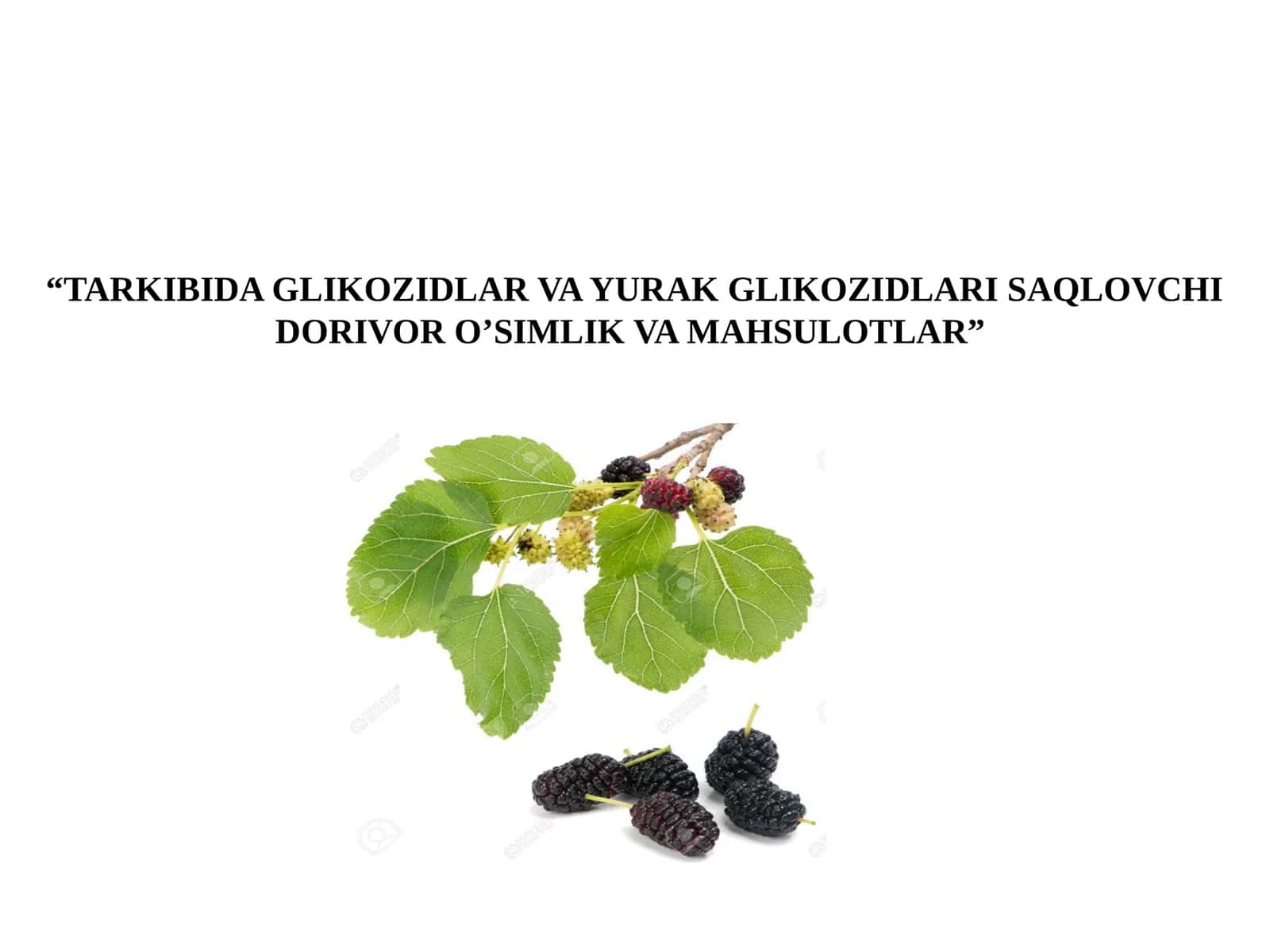 TARKIBIDA GLIKOZIDLAR VA YURAK GLIKOZIDLARI SAQLOVCHI DORIVOR O’SIMLIK VA MAHSULOTLAR