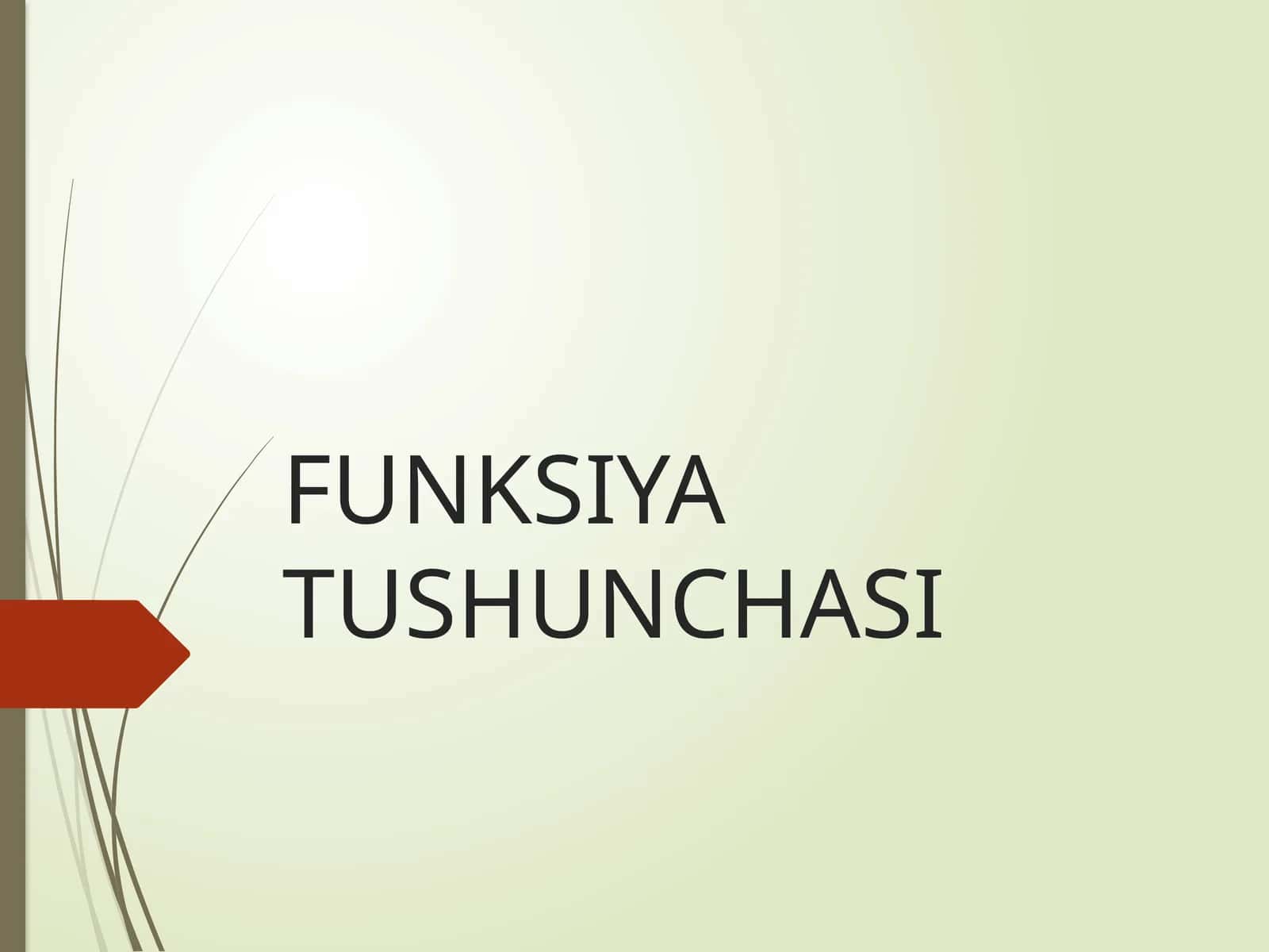 FUNKSIYA TUSHUNCHASI