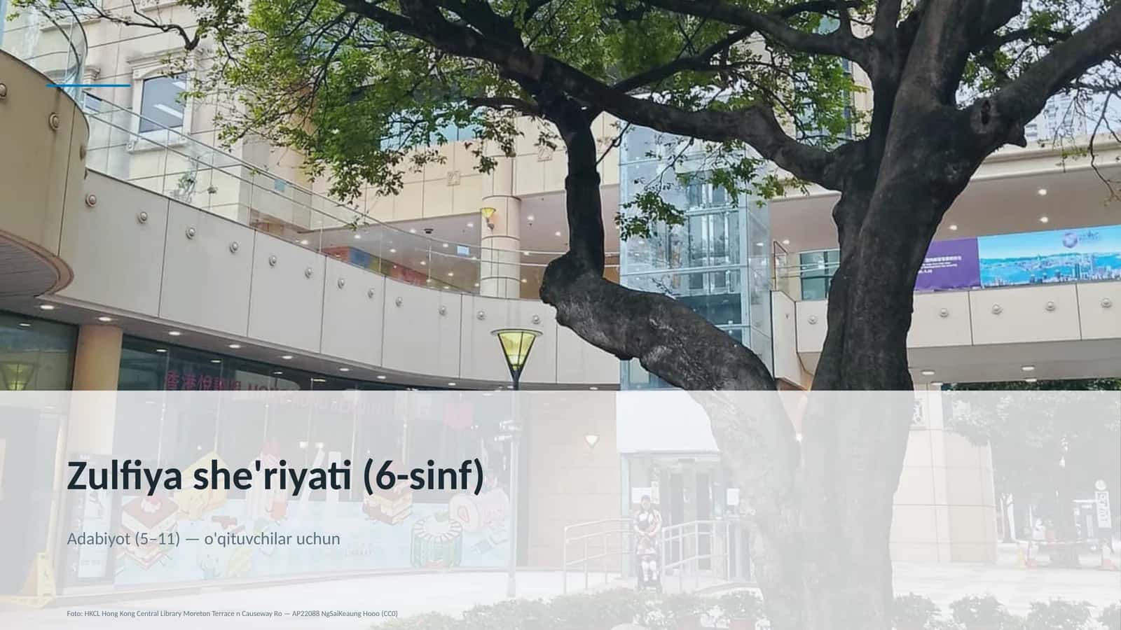Zulfiya she'riyati (6-sinf)