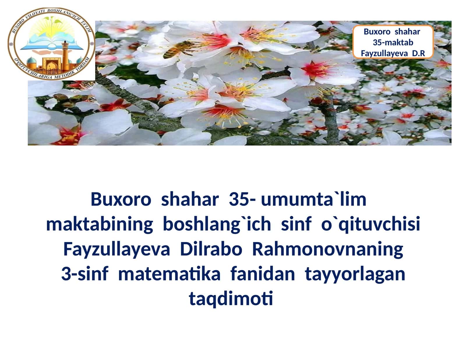 Fayzullayeva Dilrabo Rahmonovna 35-maktab boshlang'ich sinfoqituvchisi