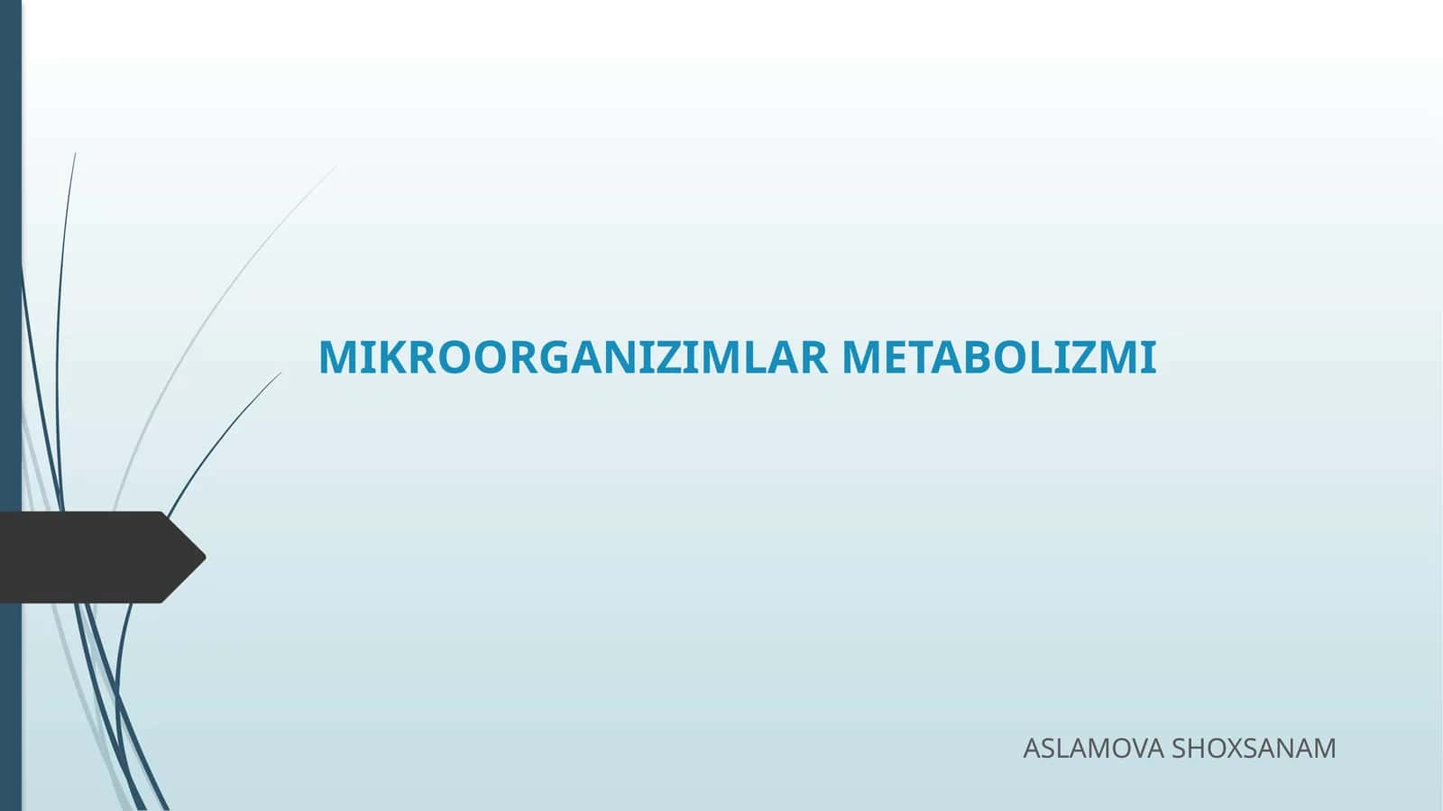 MIKROORGANIZIMLAR METABOLIZMI