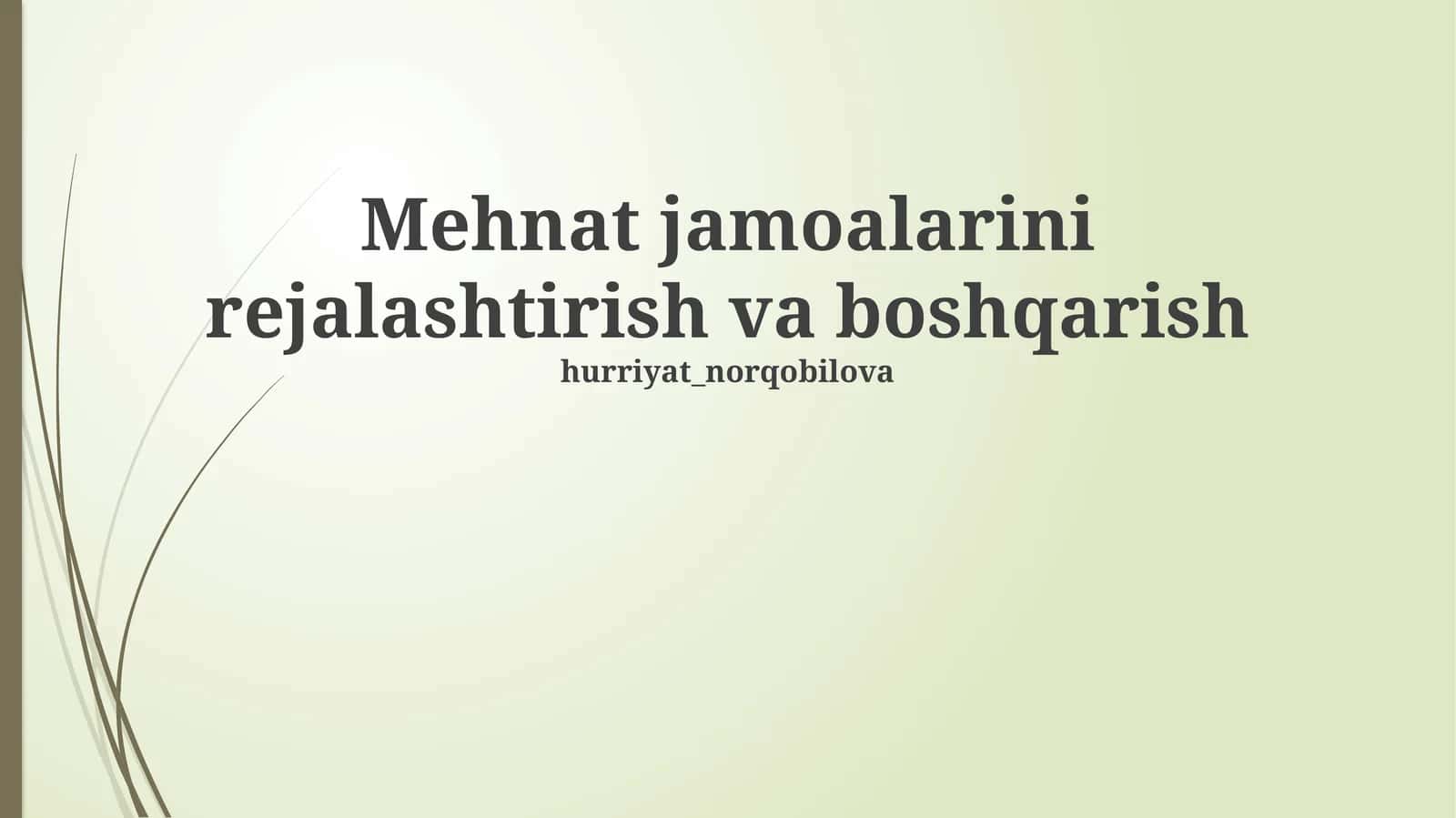 Mehnat jamoalarini rejalashtirish va boshqarish