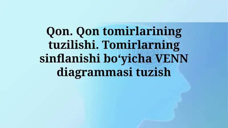 Qon tomirlarining tuzilishi va turlari
