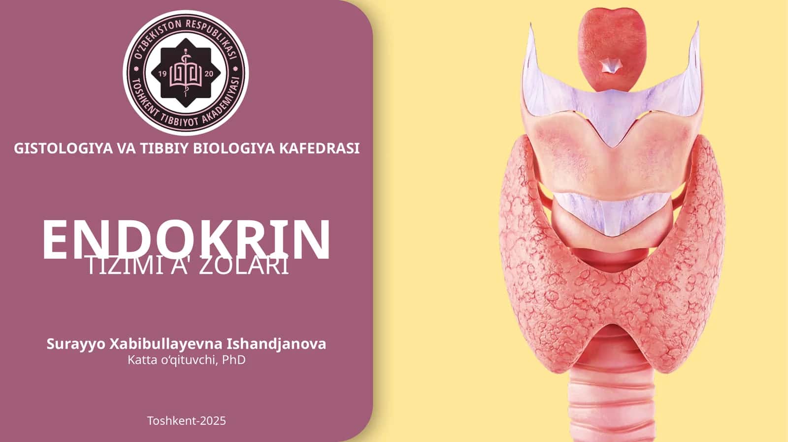 TIZIMIA' ZOLARI