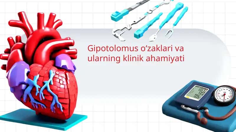 Gipotolomus oʻzaklari va ularning klinik ahamiyati