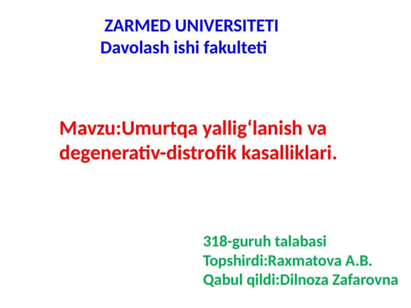 Umurtga disk churrasi