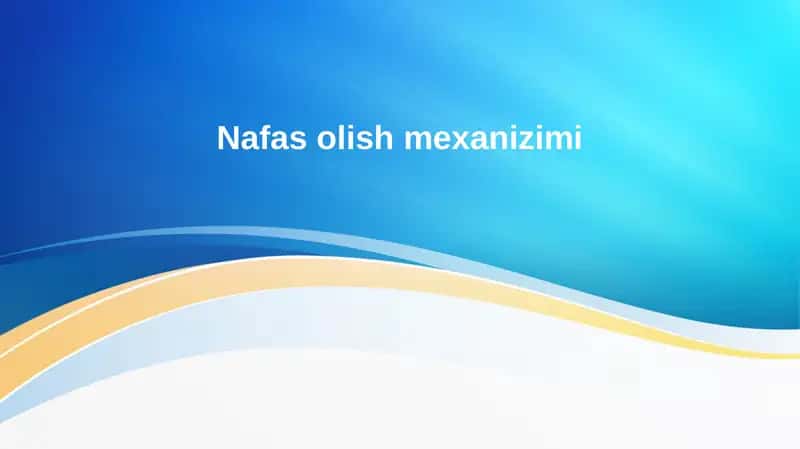 Nafas olish mexanizimi
