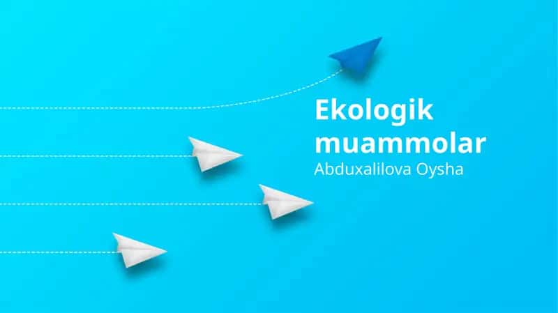 Ekologik muammolar