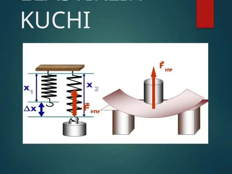 Elastiklik kuchi prezentatsiya