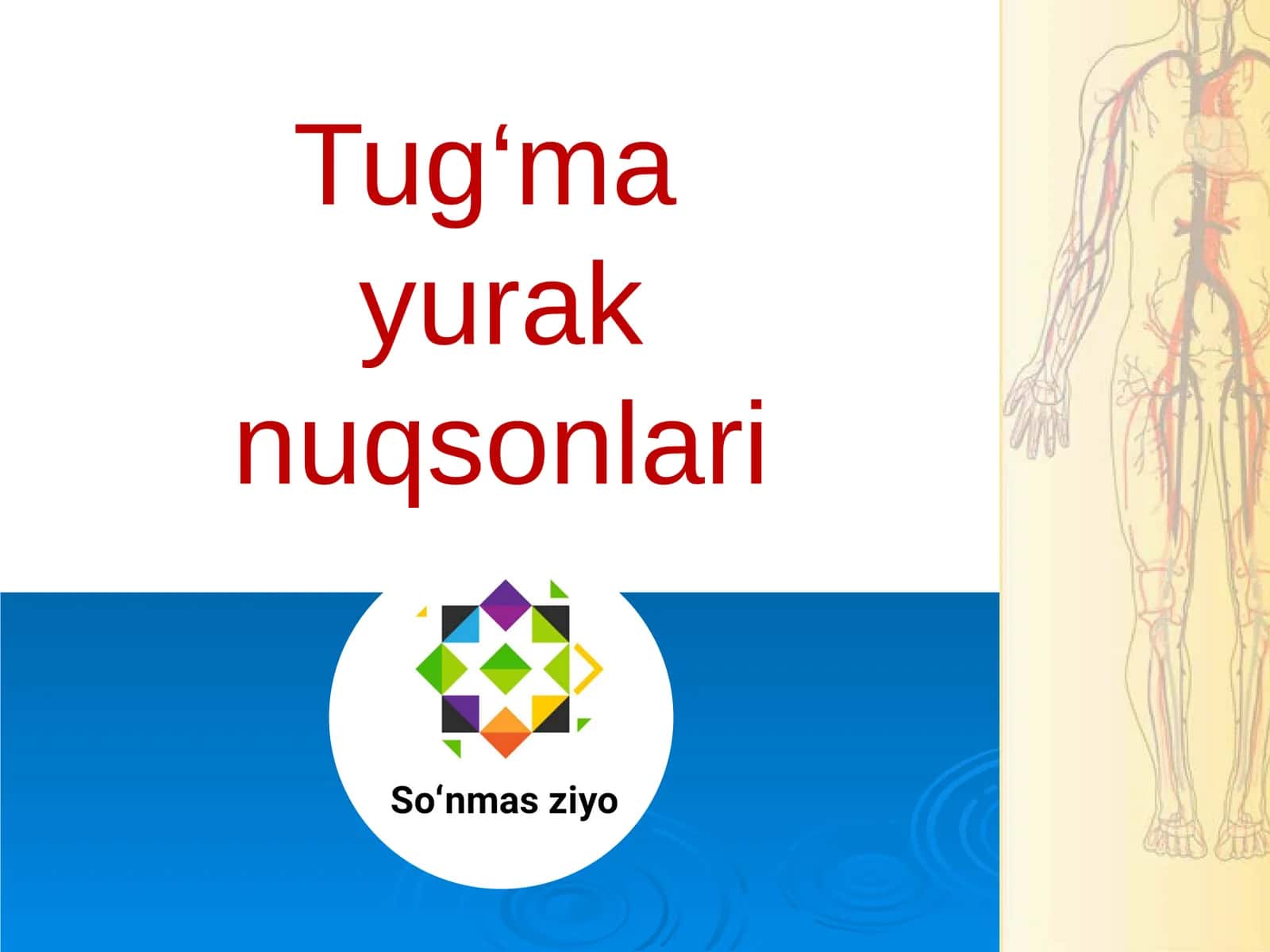 Tug‘ma yurak nuqsonlari