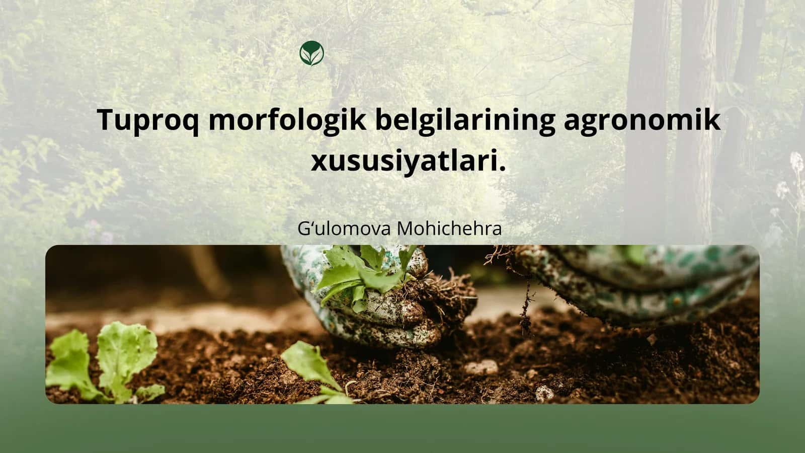 Tuproq morfologik belgilarining agronomik xususiyatlari