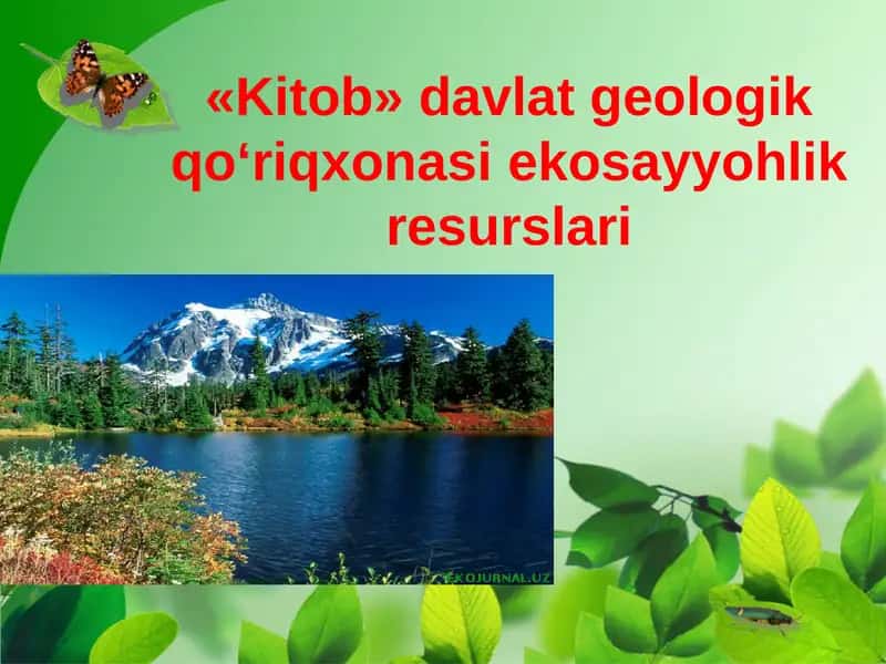 "Kitob” davlat qo‘riqxonasi