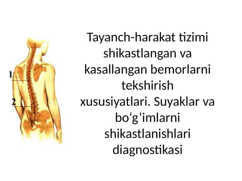 Tayanch-harakat