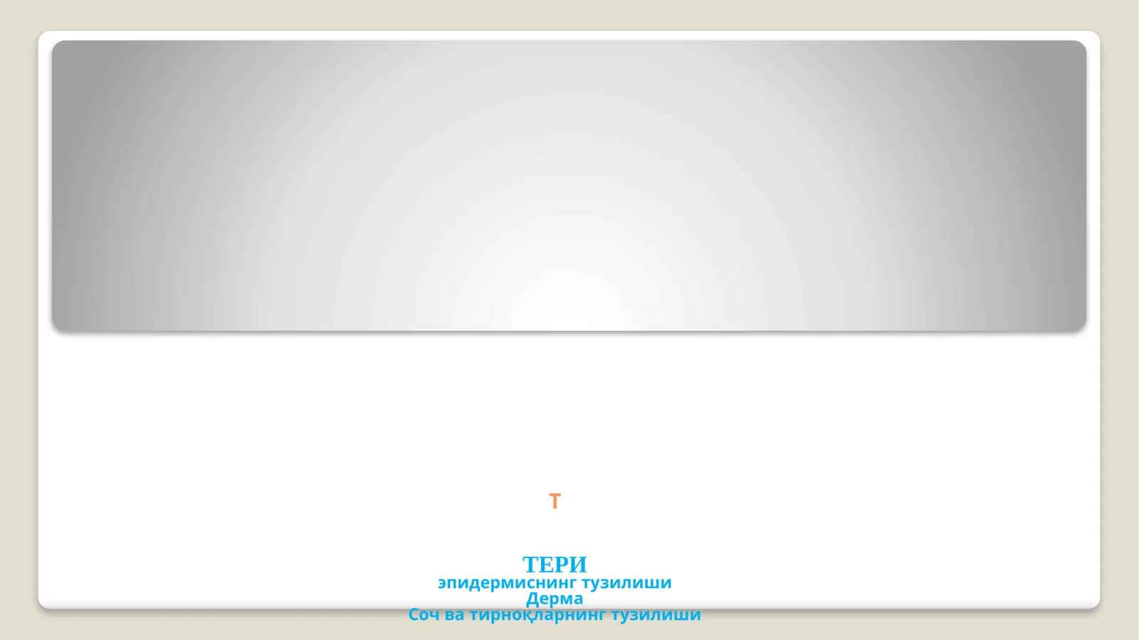 Тери эпидермисининг тузилиши