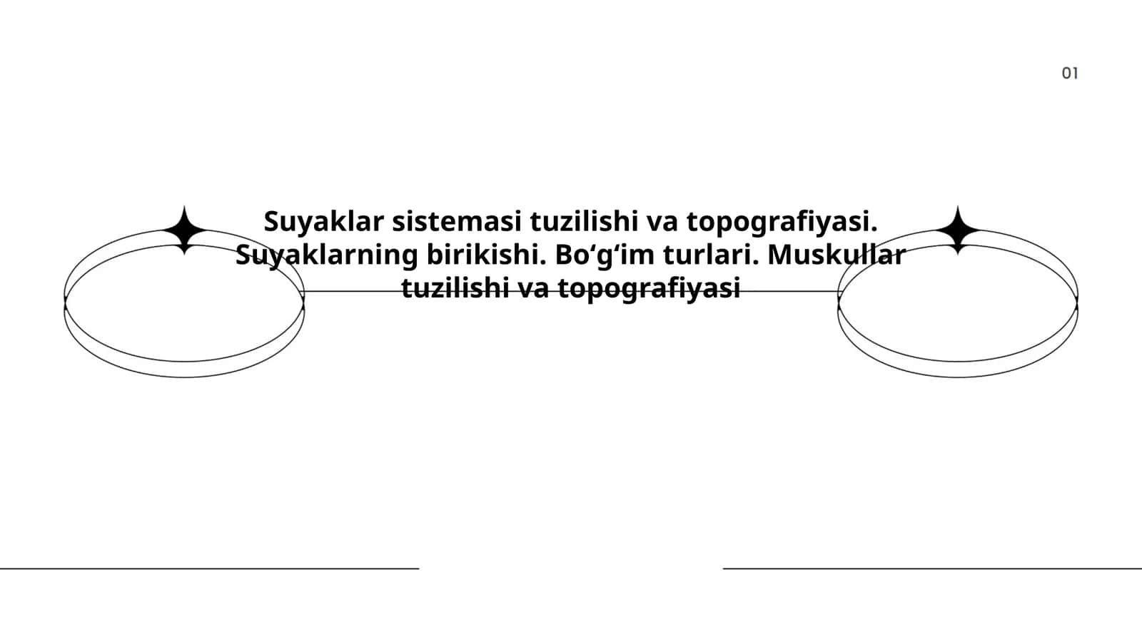 Suyaklar tuzilishi va topografiyasi