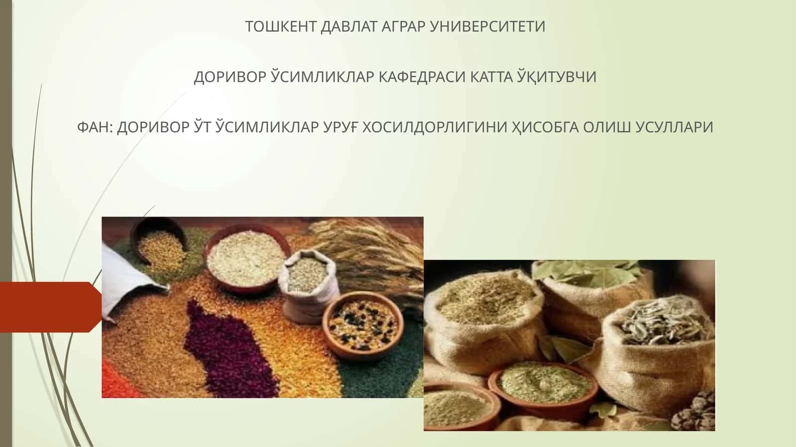 Табиий вегетатив кўпайиш
