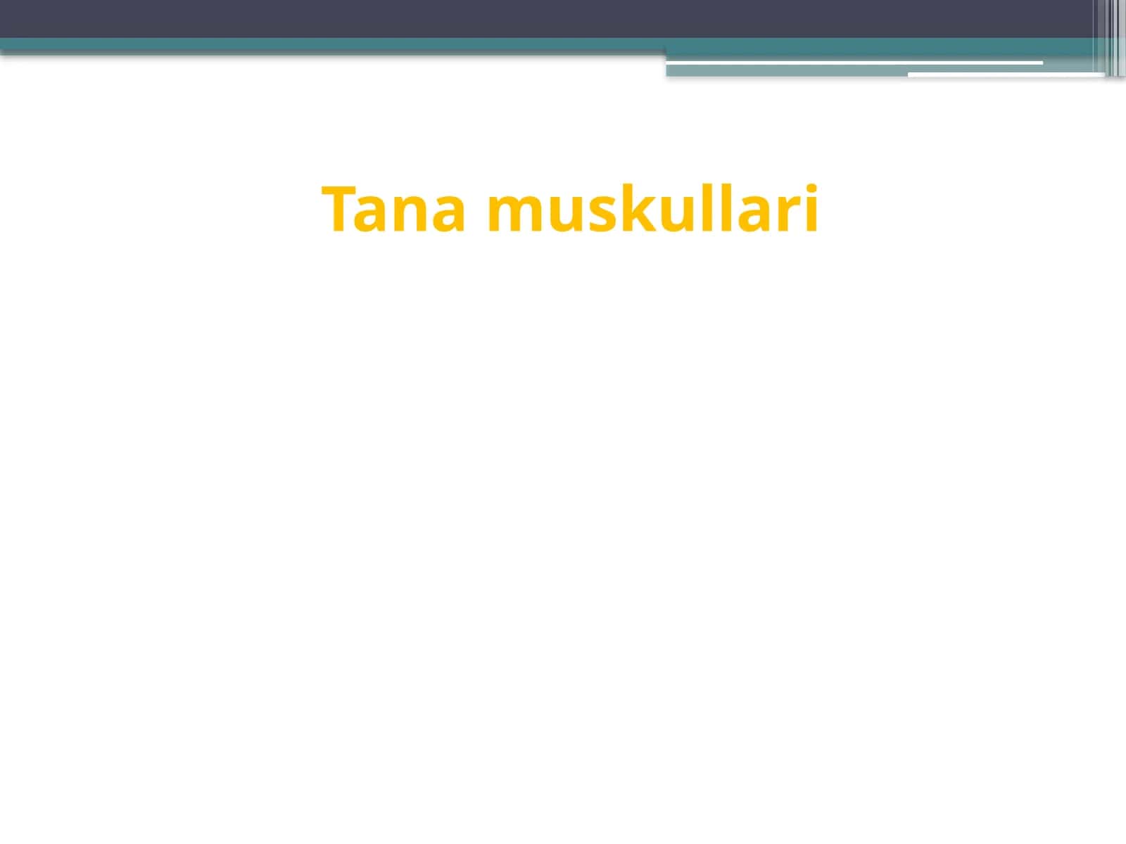 Tana muskullari